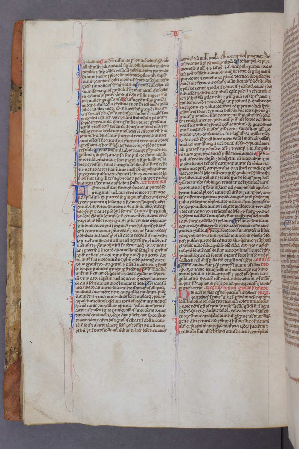 Folio 73 verso